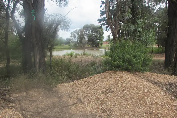 Seventh view of Homely rural property listing, 87 Undulla Creek Road, Tara QLD 4421