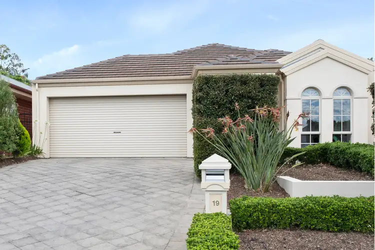 19 Appleberry Crescent, Craigburn Farm SA 5051