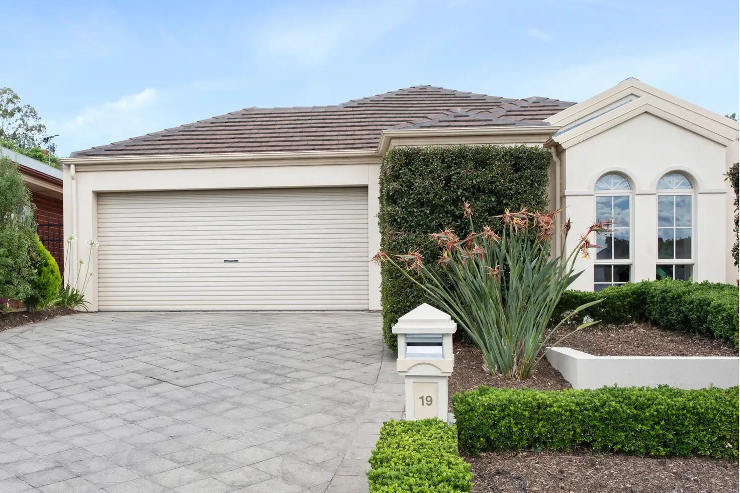 Main view of Homely house listing, 19 Appleberry Crescent, Craigburn Farm SA 5051