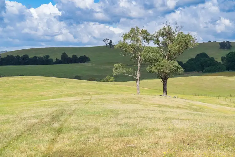 Fifth view of Homely rural property listing, 129 Jonathons creek Road, Tumbarumba NSW 2653