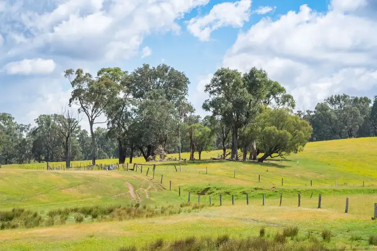 Sixth view of Homely rural property listing, 129 Jonathons creek Road, Tumbarumba NSW 2653