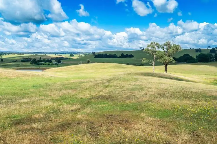 Seventh view of Homely rural property listing, 129 Jonathons creek Road, Tumbarumba NSW 2653