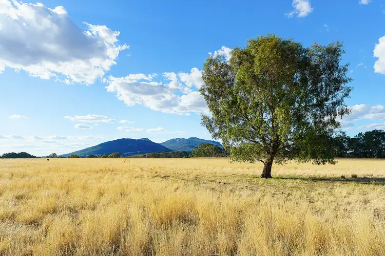 Main view of Homely rural property listing, LOT Lot 12 Main Street, Buangor VIC 3375