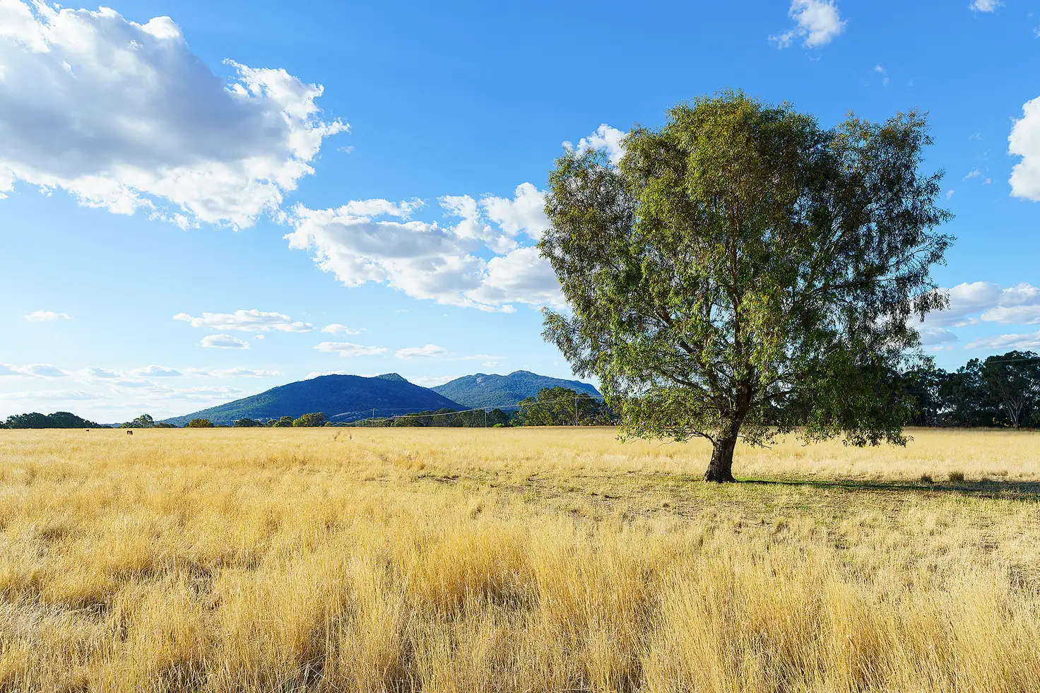 Main view of Homely rural property listing, LOT Lot 12 Main Street, Buangor VIC 3375