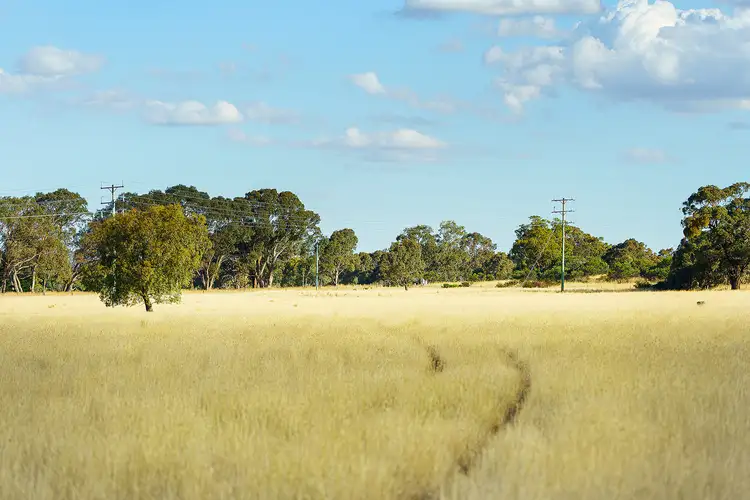 Fifth view of Homely rural property listing, LOT Lot 12 Main Street, Buangor VIC 3375