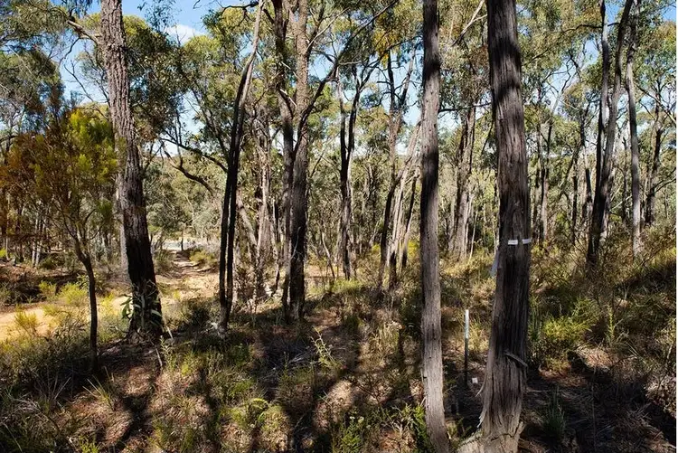 Second view of Homely rural property listing, LOT C/A 6 Vaughan-Chewton Road, Chewton VIC 3451