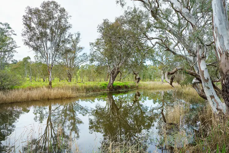 Third view of Homely rural property listing, LOT Lot 19 Harrow-Casterton Road, Harrow VIC 3317