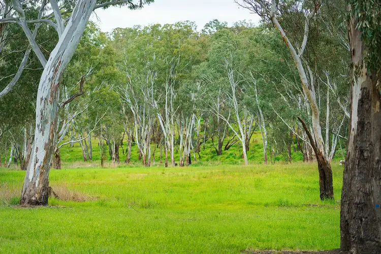 Fifth view of Homely rural property listing, LOT Lot 19 Harrow-Casterton Road, Harrow VIC 3317