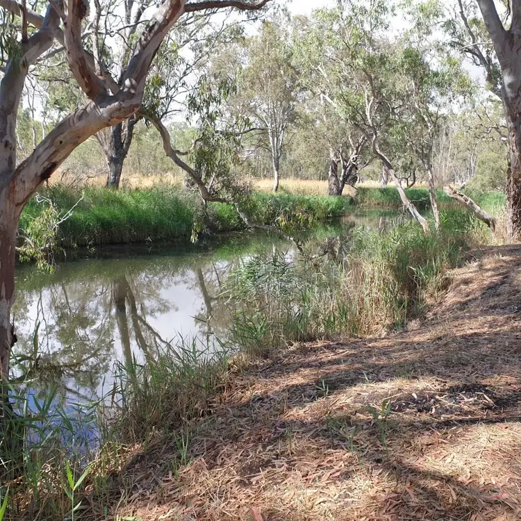 Sixth view of Homely rural property listing, LOT Lot 19 Harrow-Casterton Road, Harrow VIC 3317