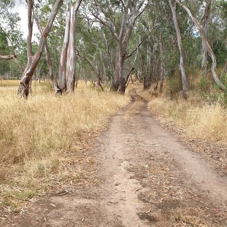 Seventh view of Homely rural property listing, LOT Lot 19 Harrow-Casterton Road, Harrow VIC 3317
