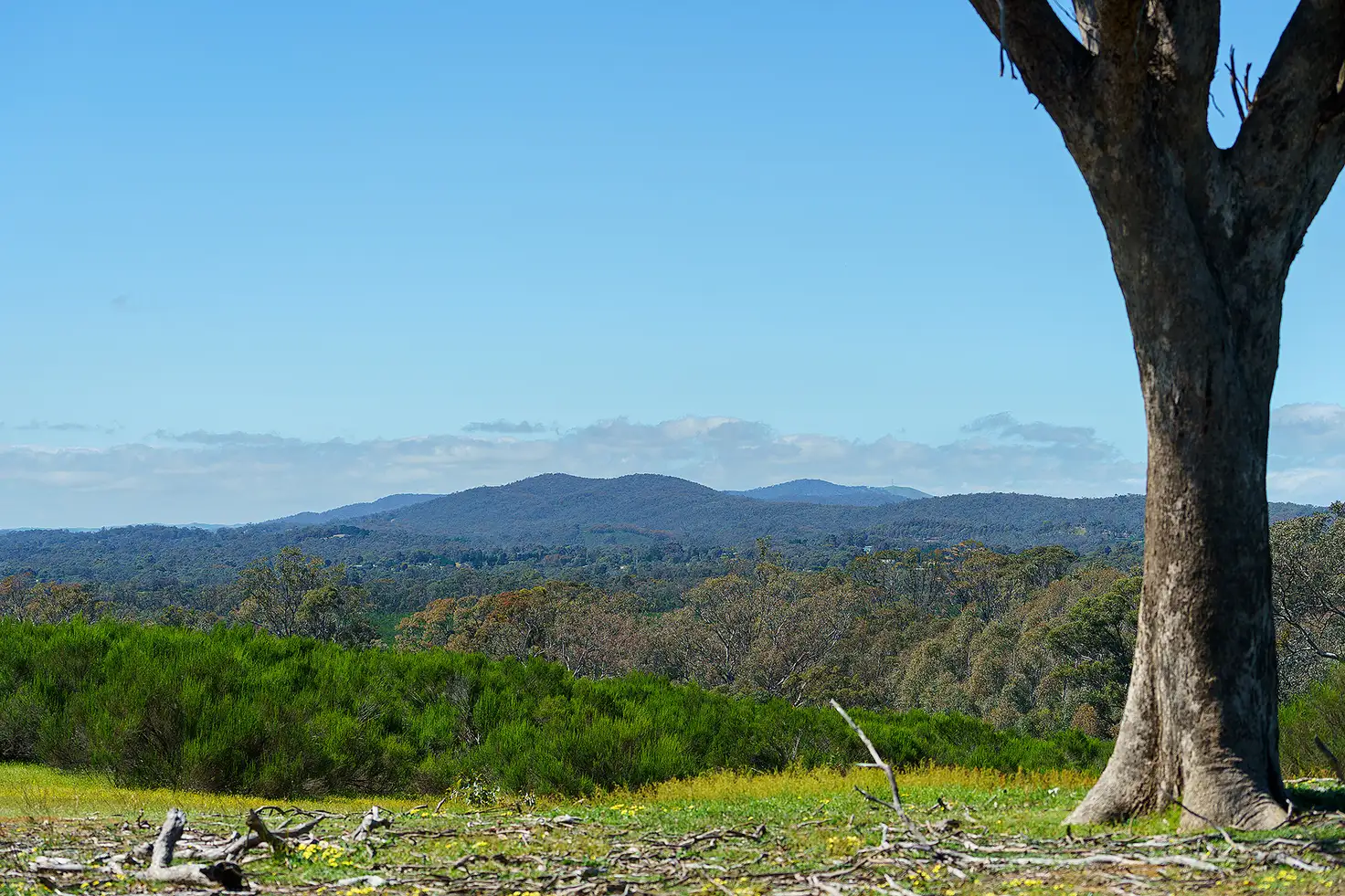 Main view of Homely rural property listing, LOT Lot 2H Hylands Lane, Heathcote VIC 3523