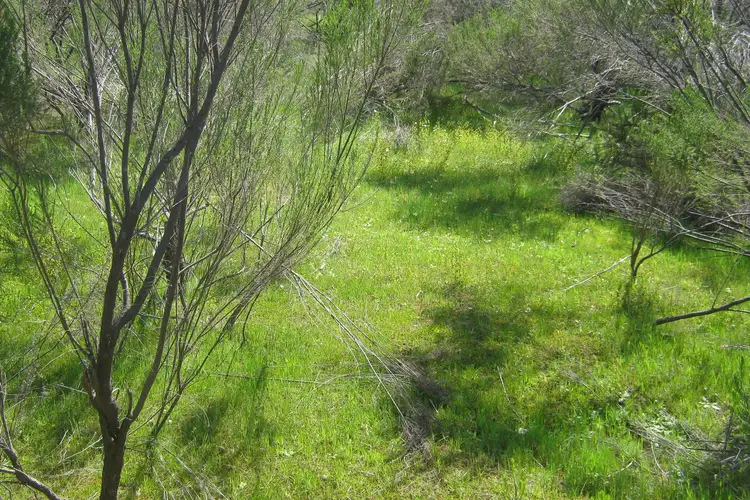 Fifth view of Homely rural property listing, LOT Lot 2 Hylands Lane, Heathcote VIC 3523
