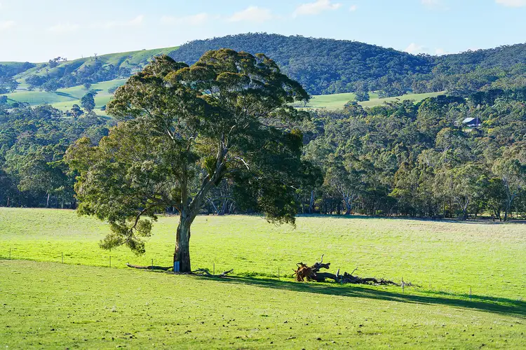 LOT Lot 63 Rhymney Road, Norval VIC 3377