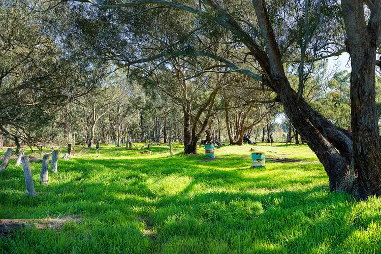 Fifth view of Homely rural property listing, LOT Lot 6 Cambrey Lane, Mangalore VIC 3663