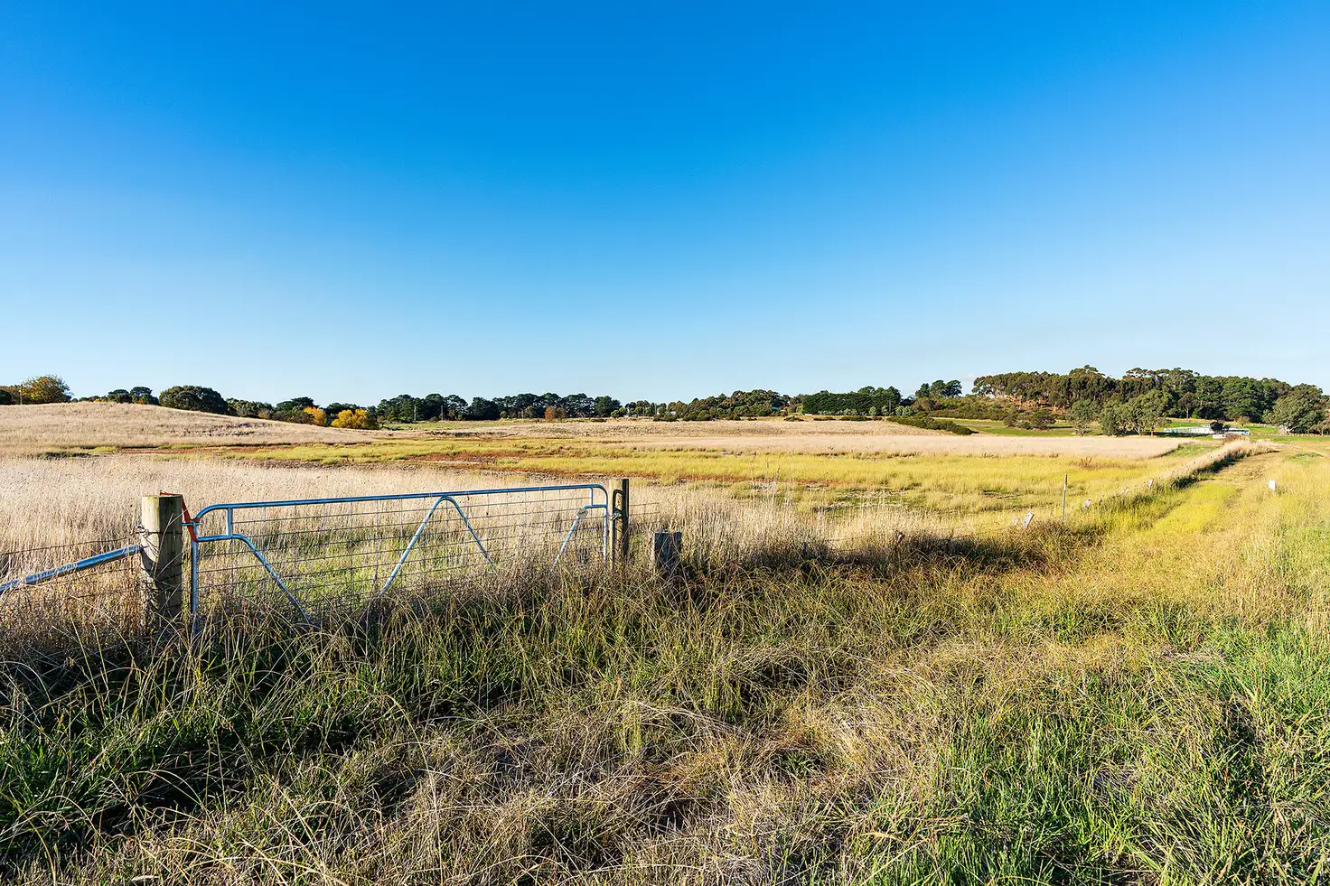 Main view of Homely rural property listing, LOT Lot 1 Glenelg Highway, Wickliffe VIC 3379
