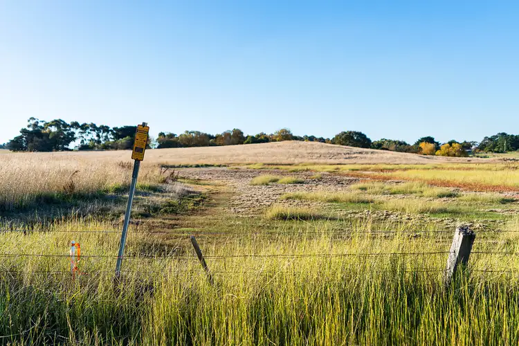 Fifth view of Homely rural property listing, LOT Lot 1 Glenelg Highway, Wickliffe VIC 3379