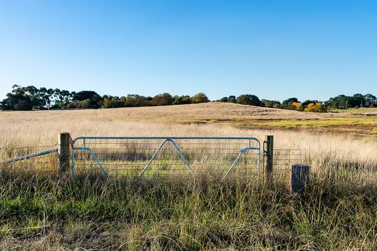 Seventh view of Homely rural property listing, LOT Lot 1 Glenelg Highway, Wickliffe VIC 3379