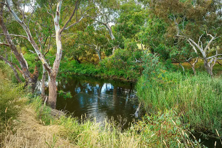 Fifth view of Homely rural property listing, LOT Lot 3 Smythe Street, Skipton VIC 3361
