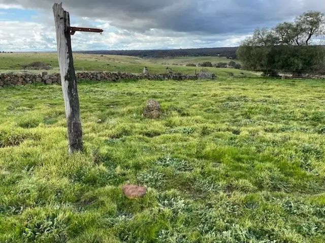 Fourth view of Homely rural property listing, LOT Lot 30 Mt Greenoch Road, Red Lion VIC 3371