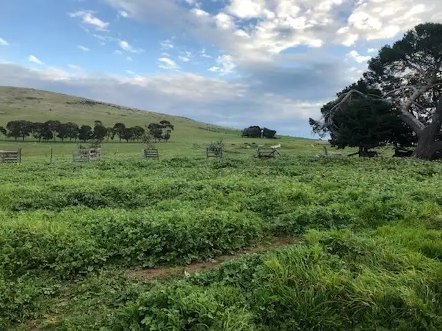 Seventh view of Homely rural property listing, LOT Lot 30 Mt Greenoch Road, Red Lion VIC 3371