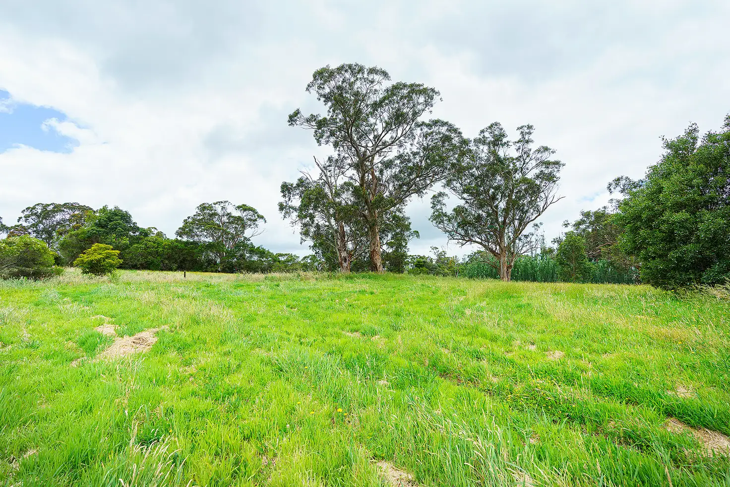 Main view of Homely land listing, LOT Lot 50, Part 18A Davis Street, Nyora VIC 3987