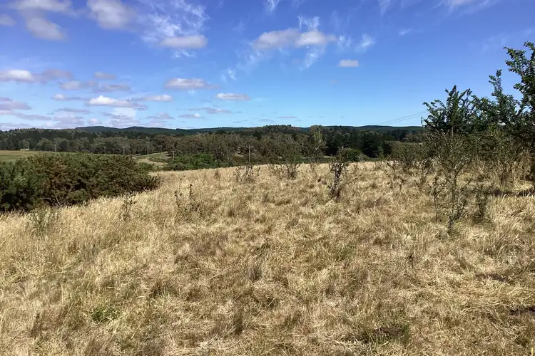 Second view of Homely rural property listing, LOT 10 & 10a Daniels Road, Scarsdale VIC 3351