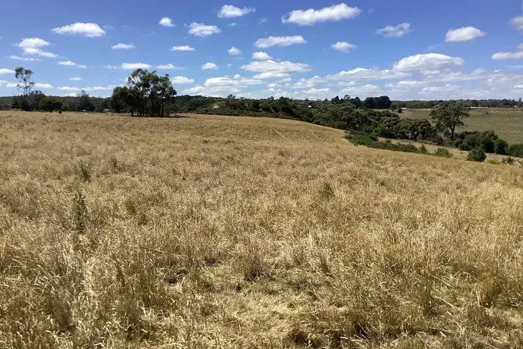 Seventh view of Homely rural property listing, LOT 10 & 10a Daniels Road, Scarsdale VIC 3351