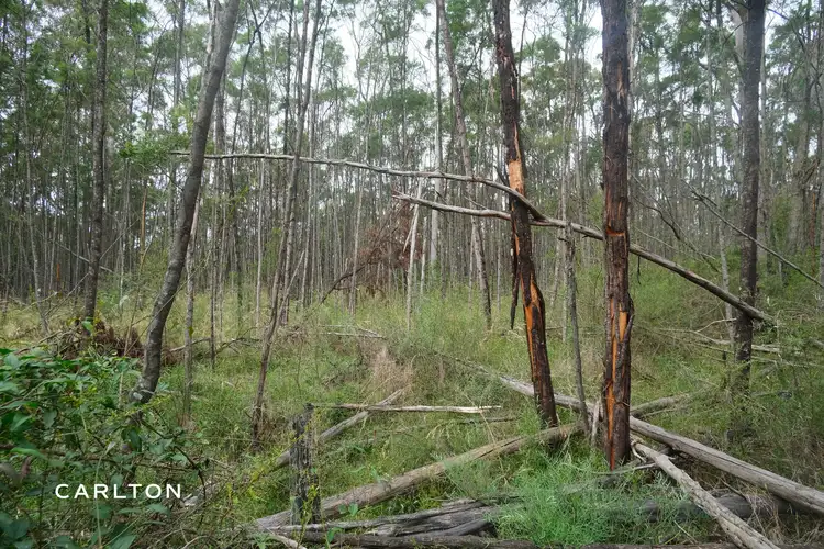 Fourth view of Homely rural property listing, Lot 1 Old Hume Highway, Alpine NSW 2575