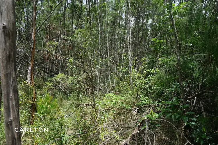 Fifth view of Homely rural property listing, Lot 1 Old Hume Highway, Alpine NSW 2575
