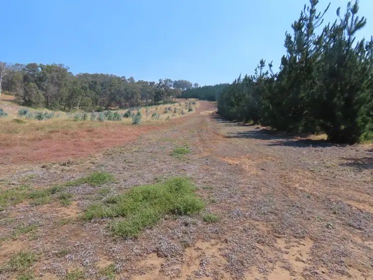 Third view of Homely rural property listing, 378 East Nannup Road, East Nannup WA 6275