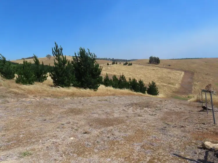 Seventh view of Homely rural property listing, 378 East Nannup Road, East Nannup WA 6275