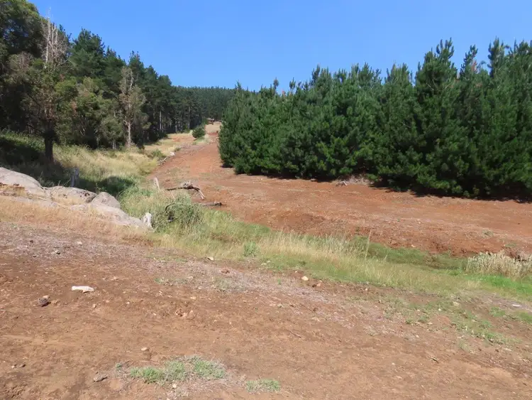 Third view of Homely rural property listing, Lot 83 East Nannup Road, East Nannup WA 6275