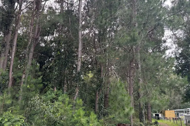 Second view of Homely land listing, LOT 5-6 Cabba Street, Pindimar NSW 2324