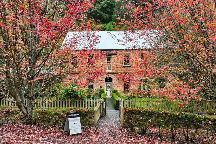 12 Right Hand Branch Road, Walhalla VIC 3825