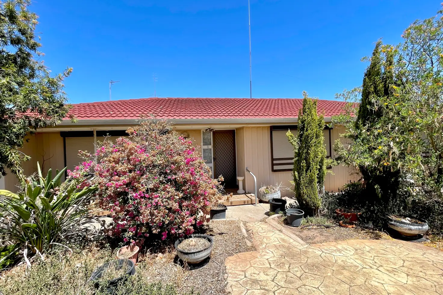 Main view of Homely house listing, 8 Adams Terrace, Wudinna SA 5652