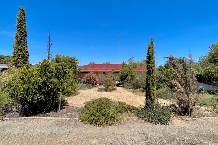 Fifth view of Homely house listing, 8 Adams Terrace, Wudinna SA 5652
