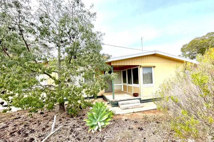 2 Clive Street, Minnipa SA 5654