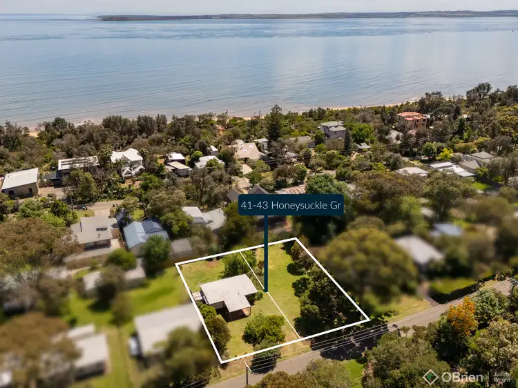 Main view of Homely house listing, 41 Honeysuckle Grove, Silverleaves VIC 3922