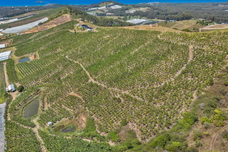 Third view of Homely land listing, Lot 3 Puhos Road, Sandy Beach NSW 2456