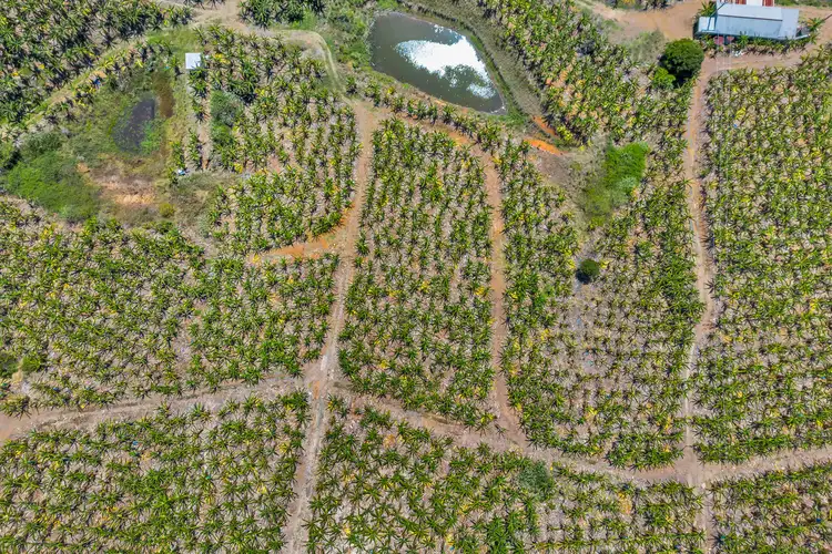 Fourth view of Homely land listing, Lot 3 Puhos Road, Sandy Beach NSW 2456