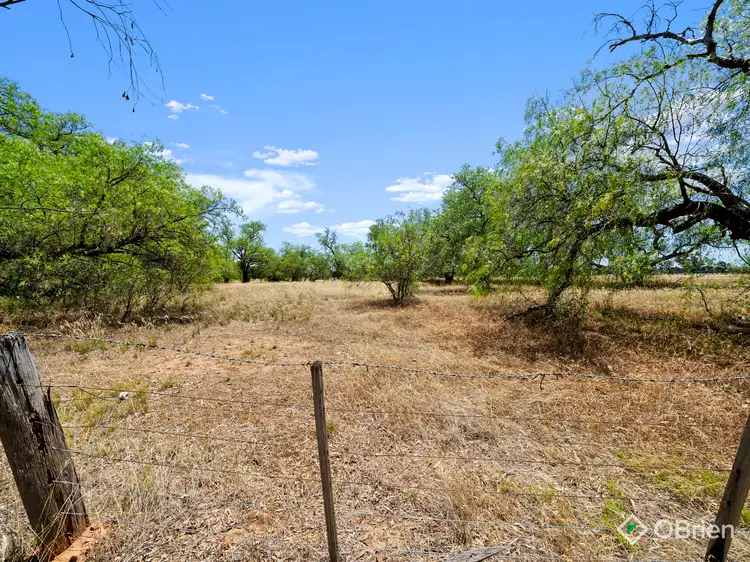 Fifth view of Homely rural property listing, 10 Gribben Road, Arcadia VIC 3631