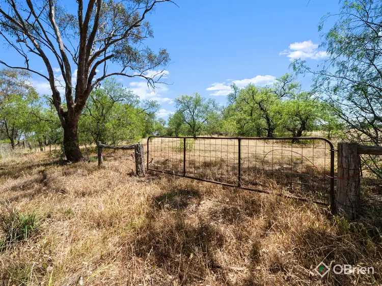 Sixth view of Homely rural property listing, 10 Gribben Road, Arcadia VIC 3631