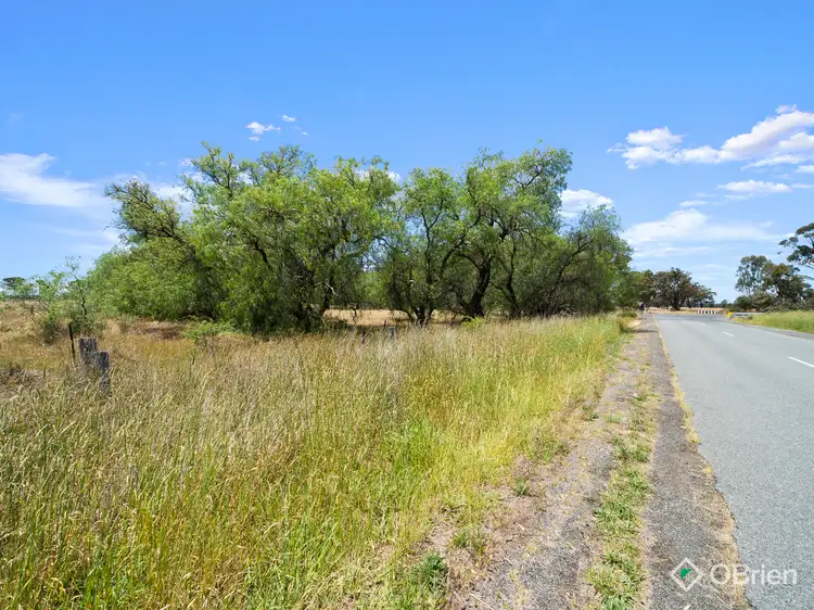 Seventh view of Homely rural property listing, 10 Gribben Road, Arcadia VIC 3631