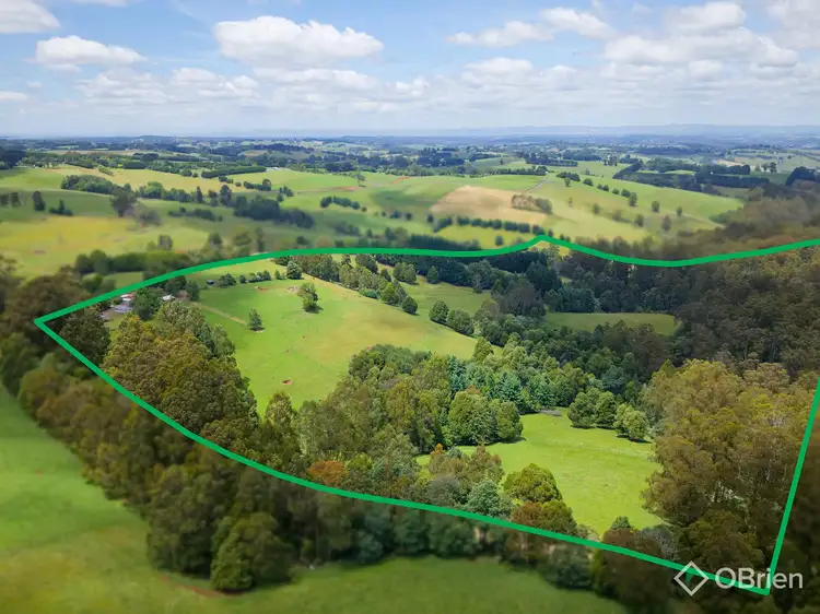 Main view of Homely rural property listing, 85 Paynter Road, Neerim Junction VIC 3832