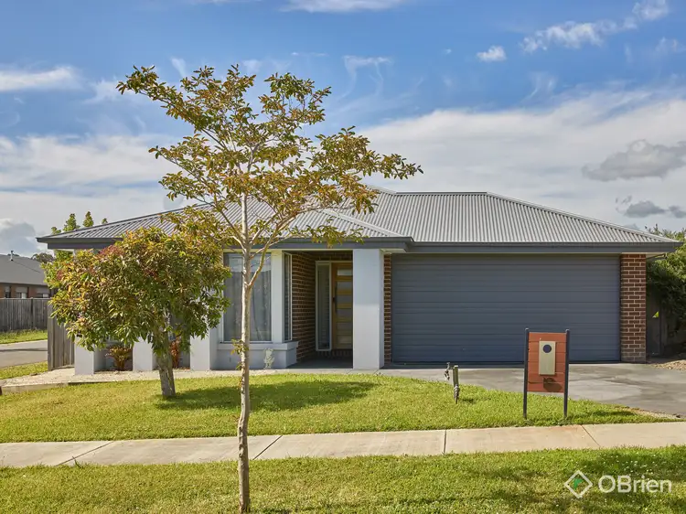 19 King Parrot Boulevard, Drouin VIC 3818