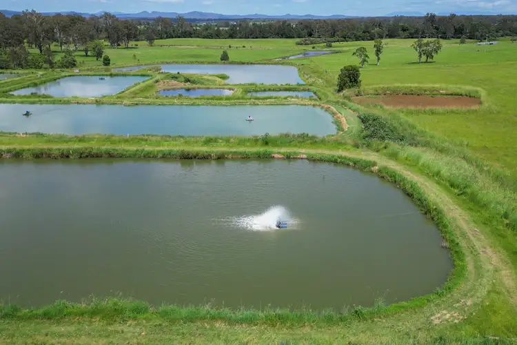 645 Mulquinneys Road, Braunstone NSW 2460