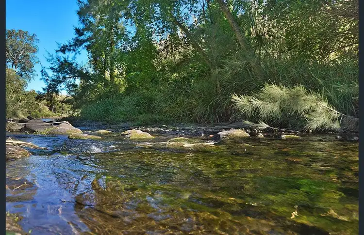 Fifth view of Homely rural property listing, 200 Torryburn Road, Torryburn NSW 2421