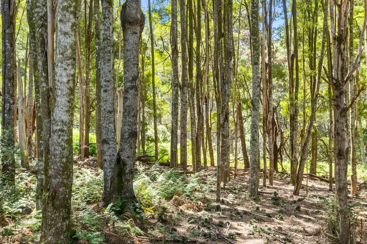 Third view of Homely land listing, Address available on request