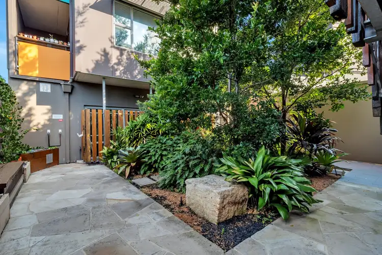 Fourth view of Homely studio listing, 16/15 McCarthy Lane, Annandale NSW 2038