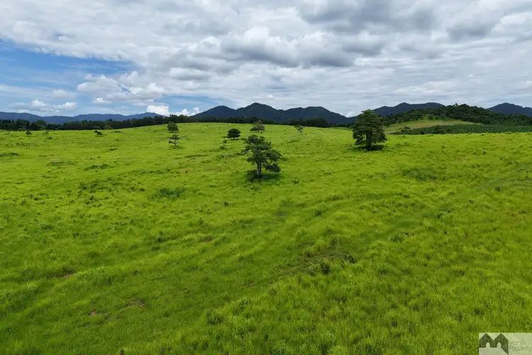 Main view of Homely rural property listing, 51 Booth Road, Utchee Creek QLD 4871